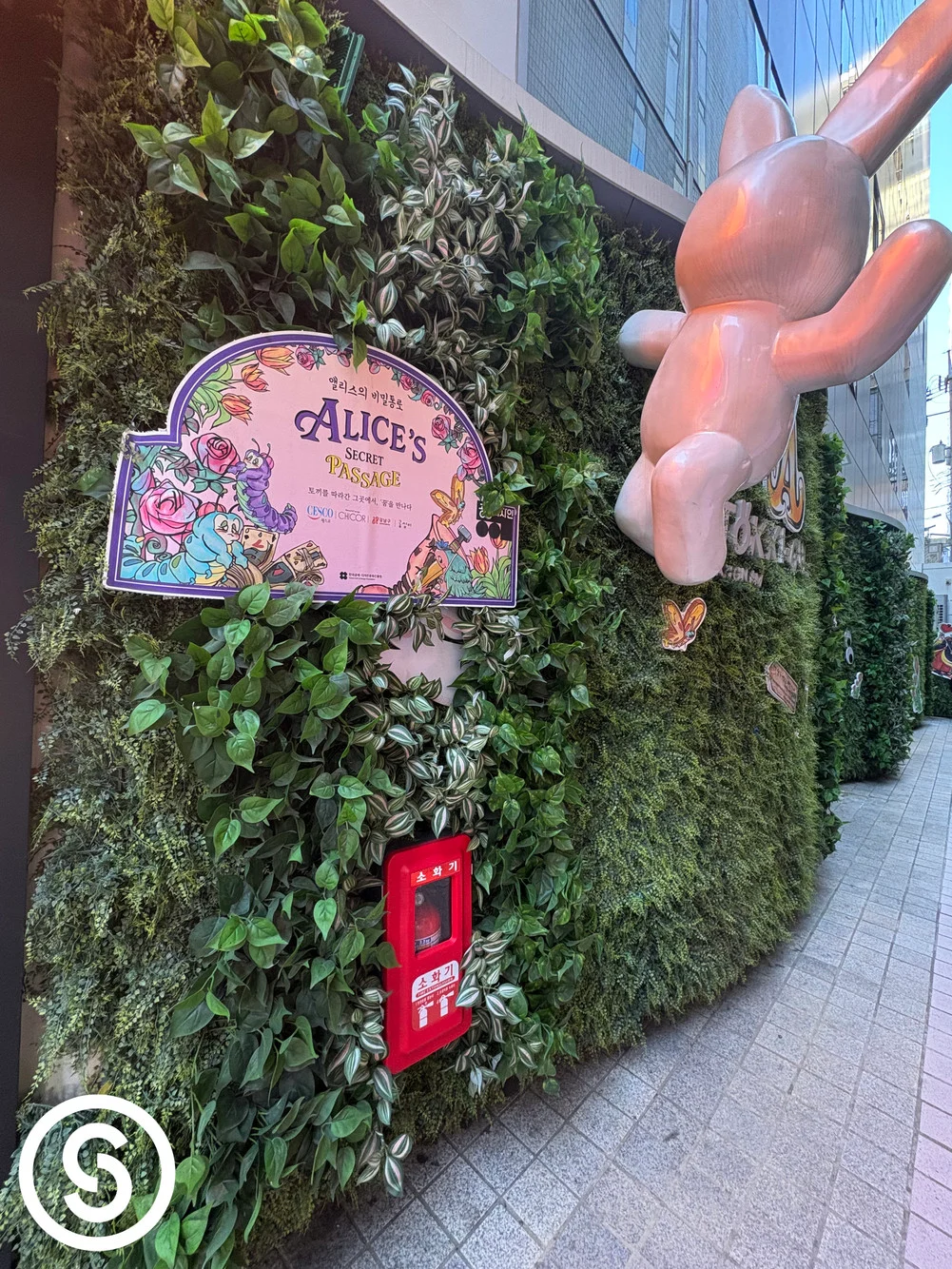 강남역 토끼굴