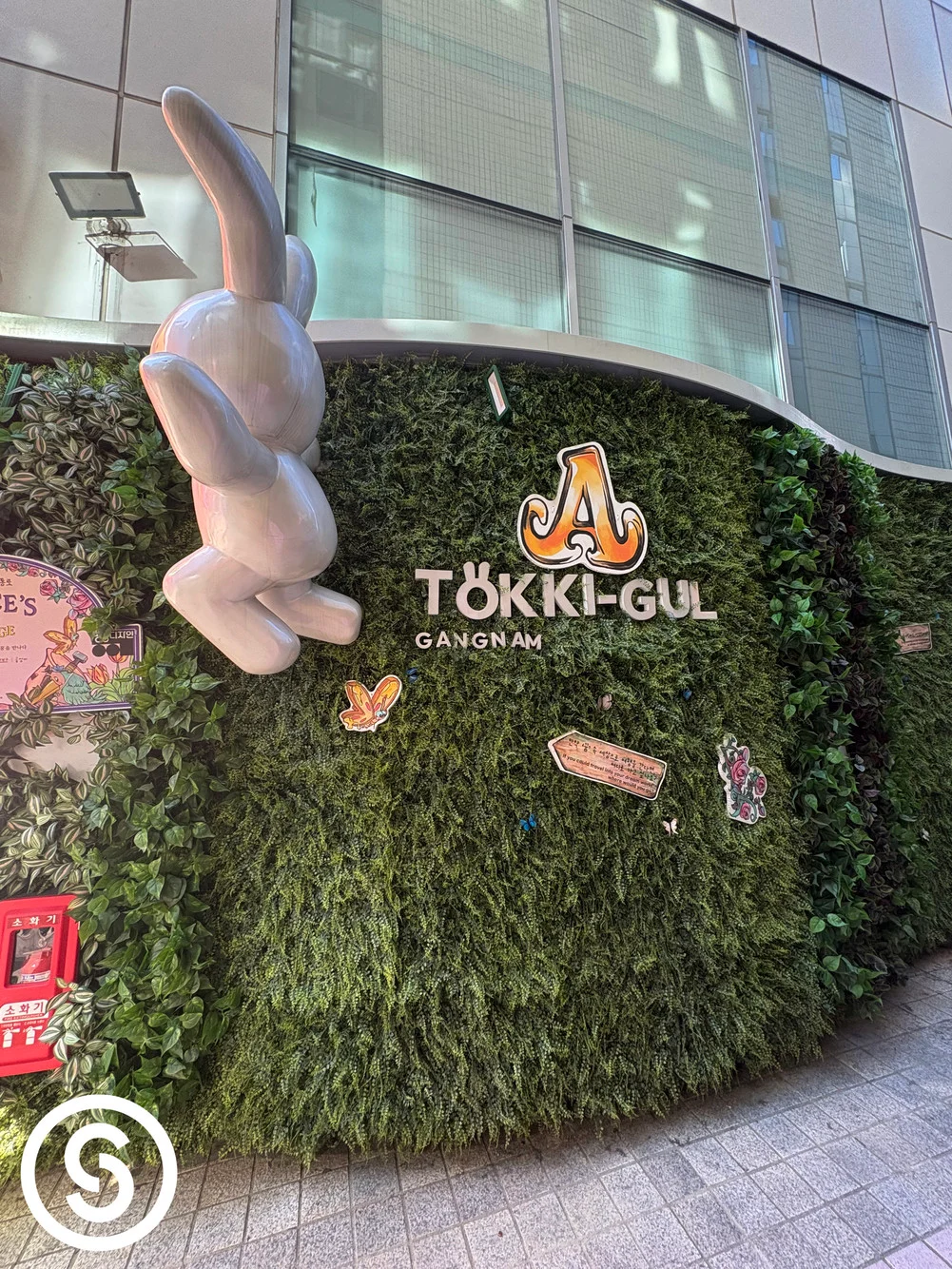 강남역 토끼굴